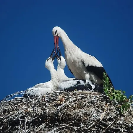Urlaubsidylle In Der Uckermark Crussow