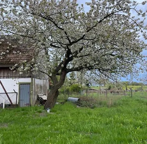 Сasa de vacaciones Urlaubsidylle In Der Uckermark *